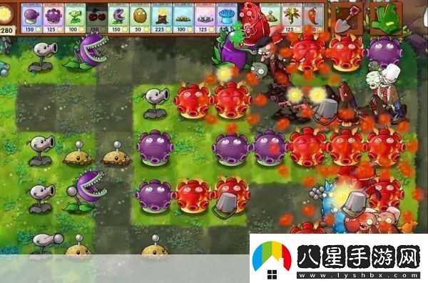 暢玩植物大戰(zhàn)僵尸BD