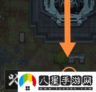 秩序新曙光人口增加方法途徑