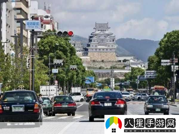 日本REPRODUCTION