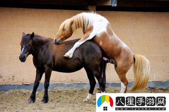 突破極限