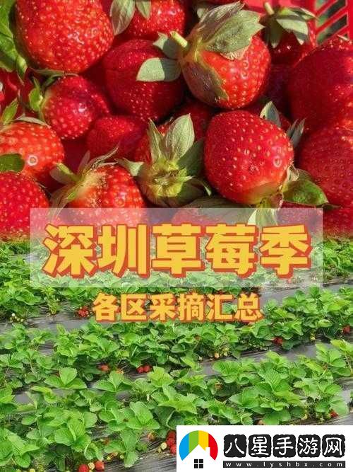 草莓秘免費(fèi)一區(qū)二區(qū)三區(qū)精彩內(nèi)容大放送