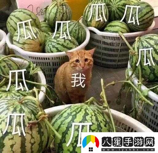 51吃瓜熱門(mén)吃瓜