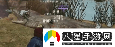 黎明覺醒白鱷女王位置在哪