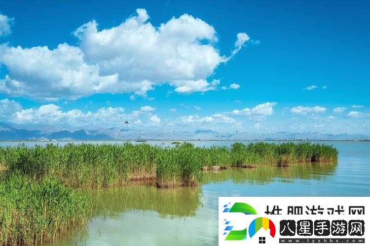 怡紅院導(dǎo)航