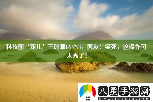 科技圈‘寵兒’三葉草GY6793