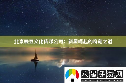 北京愛豆文化傳媒公司