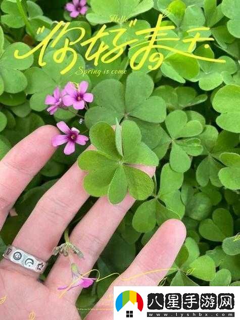 成品人與精品人在四葉草區(qū)別上的探討