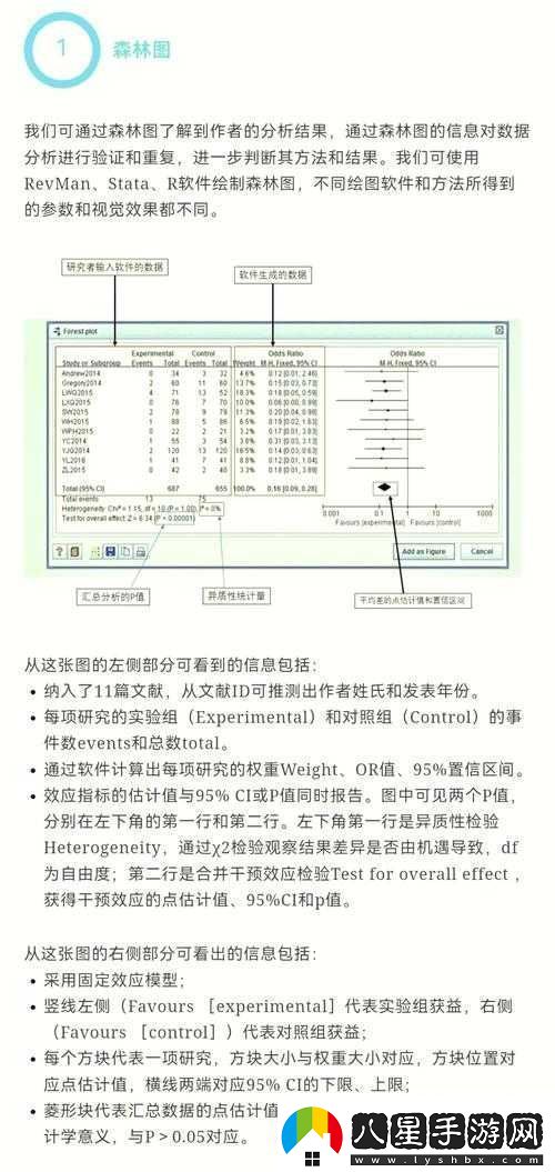 最新中文字幕之詳細解讀與深入分析