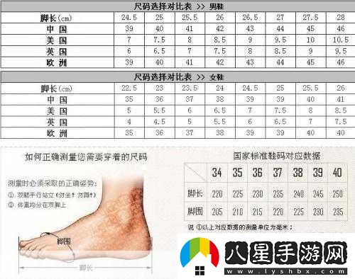 亞洲碼和歐洲碼一碼二碼三碼