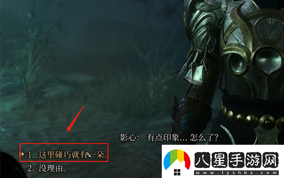 博德之門3夜蘭花怎么送