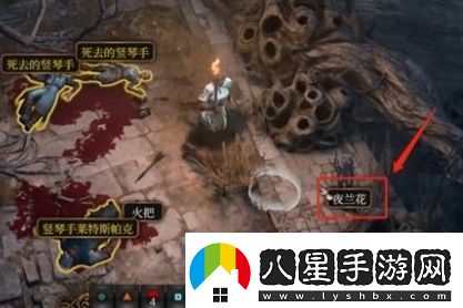 博德之門3夜蘭花怎么送