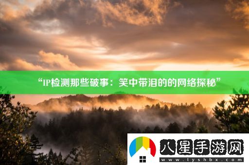 “IP檢測(cè)那些破事
