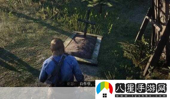 荒野大鏢客暴躁老太太