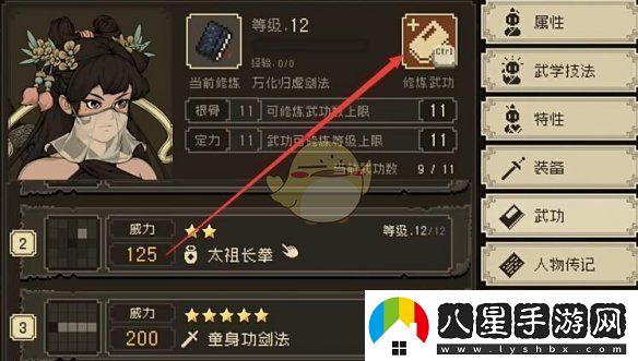 大江湖之蒼龍與白鳥如何高效提升武功技能的方法與策略