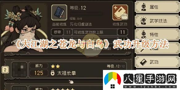大江湖之蒼龍與白鳥如何高效提升武功技能的方法與策略