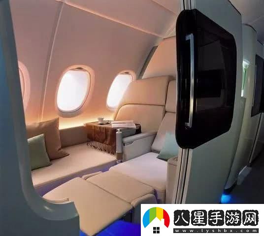 內(nèi)容豐富頭等艙客服的特殊待遇2