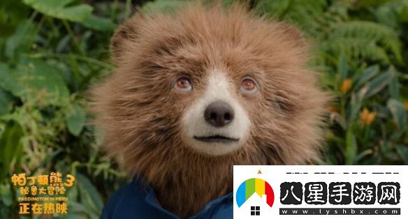 熱映中！帕丁頓熊3