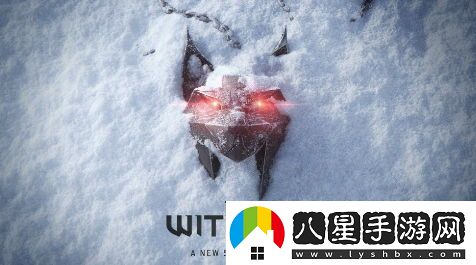 粉絲不必試圖干預(yù)巫師4的劇情走向CDPR將堅持自己的創(chuàng)作理念
