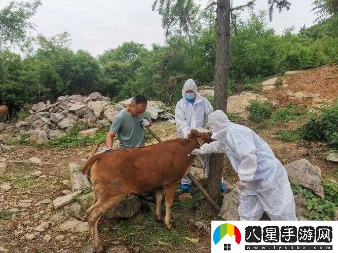 人與畜禽