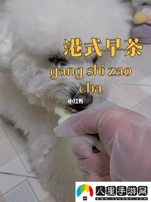 美國(guó)人與動(dòng)物膠配方有幾種讀者