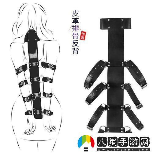 女士專用四肢固定夾具