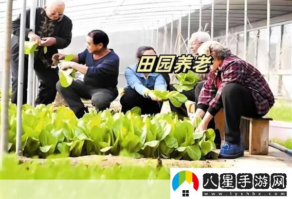 開(kāi)心養(yǎng)老院官方版來(lái)襲