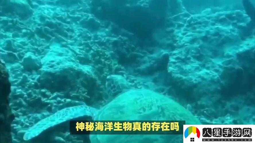 地心護(hù)核者荒野區(qū)深度魚(yú)類探秘