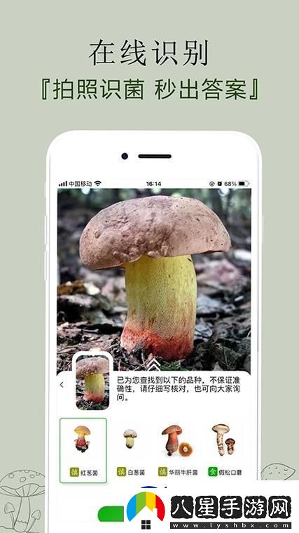 安全蘑菇app