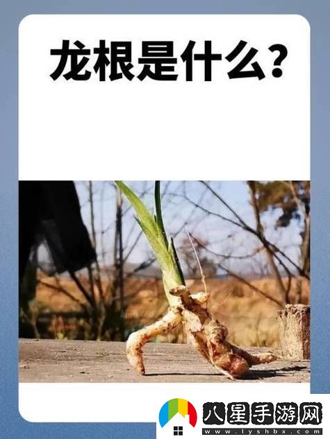 用龍根養(yǎng)大的公主姜宜珠姜封