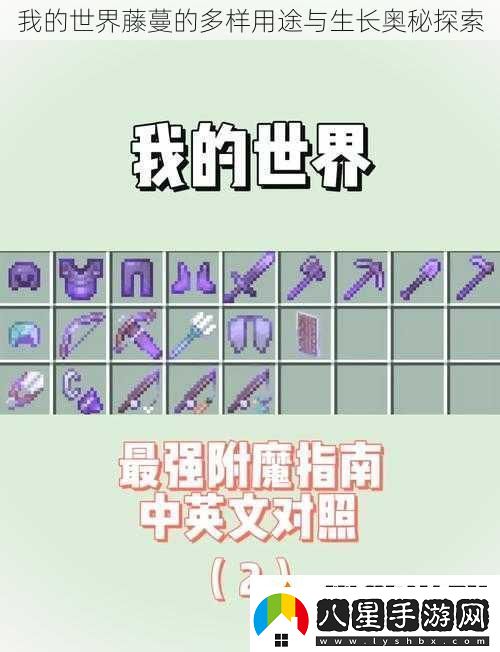 我的世界藤蔓的多樣用途與生長(zhǎng)奧秘探索