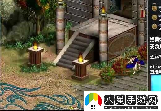 怎么馴服師弟手游防御與治療全面策略解析與心得分享