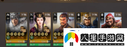 三國(guó)志戰(zhàn)棋版新手陣容怎么搭配