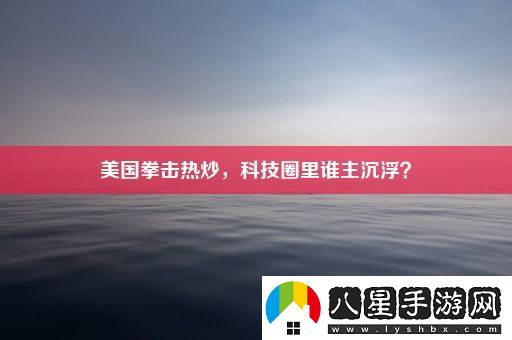 美國(guó)拳擊熱炒