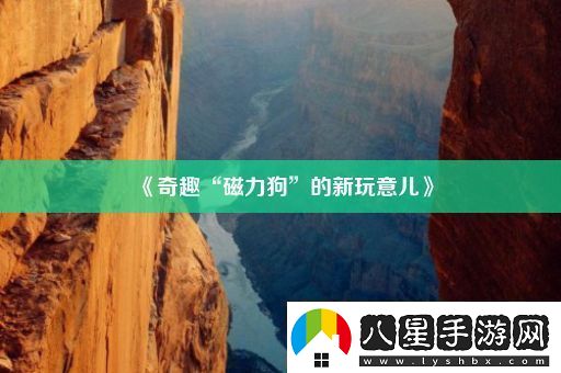 奇趣“磁力狗”的新玩意兒
