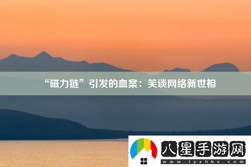 “磁力鏈”引發(fā)的血案