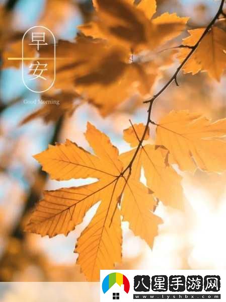 填得很滿(mǎn)感覺(jué)知乎