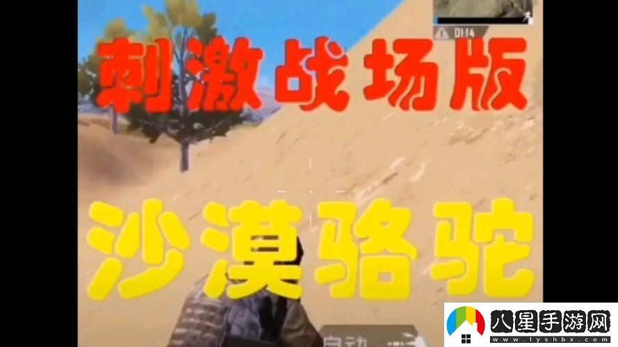 刺激雙人行