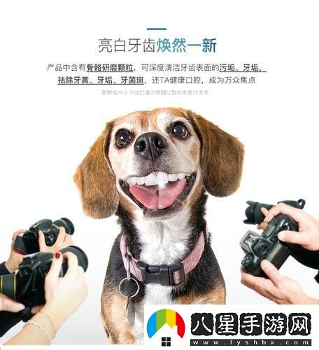 日本mindup狗狗