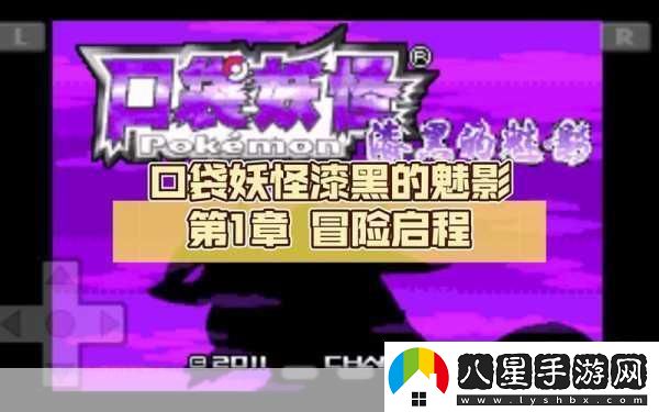 口袋妖怪漆黑的魅影金手指