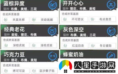 貓之城極品基因貓貓怎么養(yǎng)成