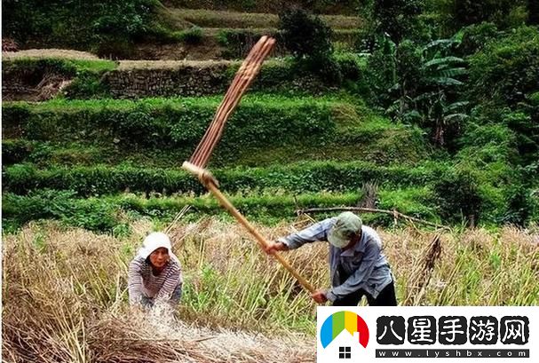 科技江湖怪談