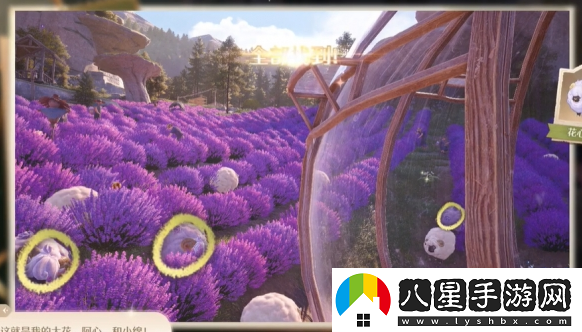 無限暖暖照片調(diào)查走失的綿羊任務(wù)該如何完成？詳細(xì)攻略與流程解析