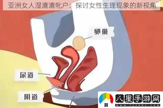 亞洲女人濕漉漉牝戶(hù)