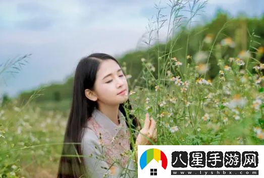 荷花直播