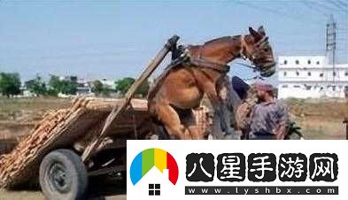 人馬畜禽共性關系對生態(tài)平衡及人類發(fā)展的重要意義