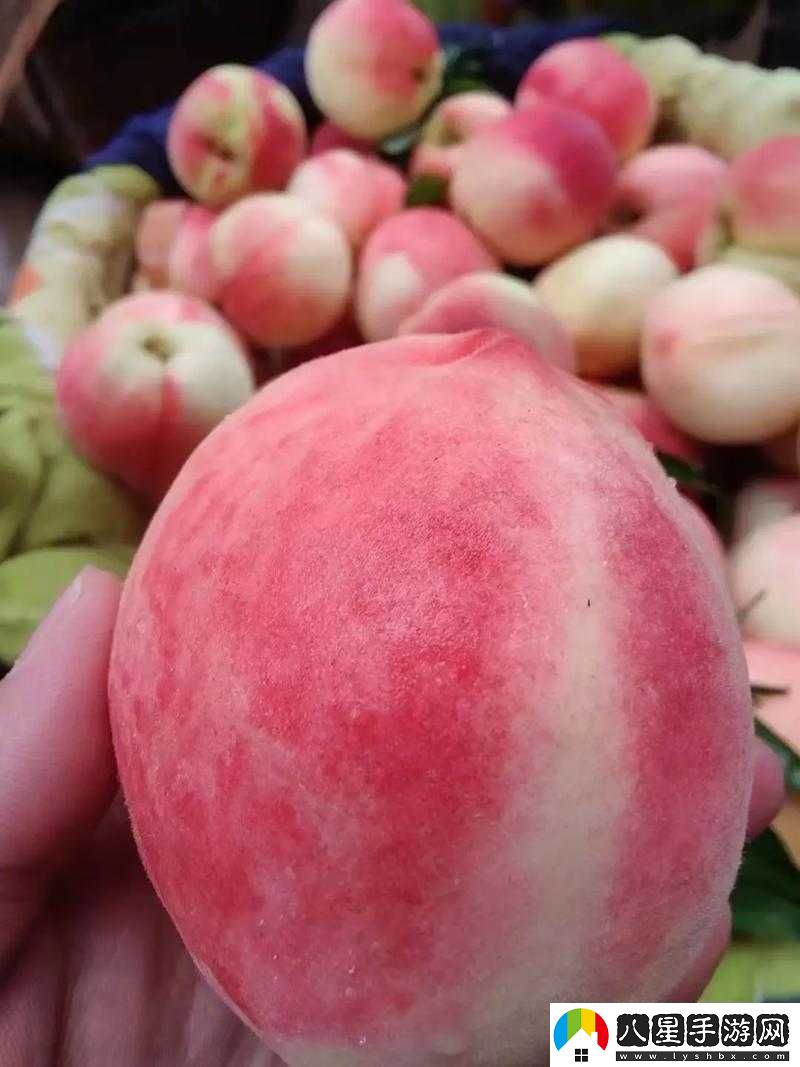水蜜桃