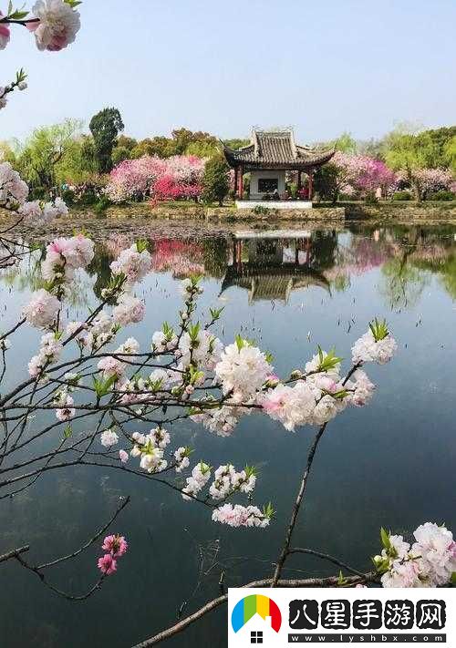 母親的桃花源