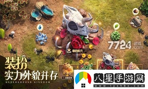 小小蟻國蟻巢土地布局一覽