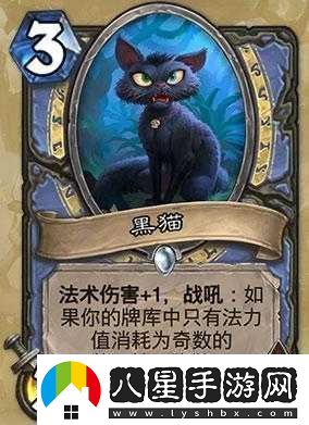 爐石傳說深度解析