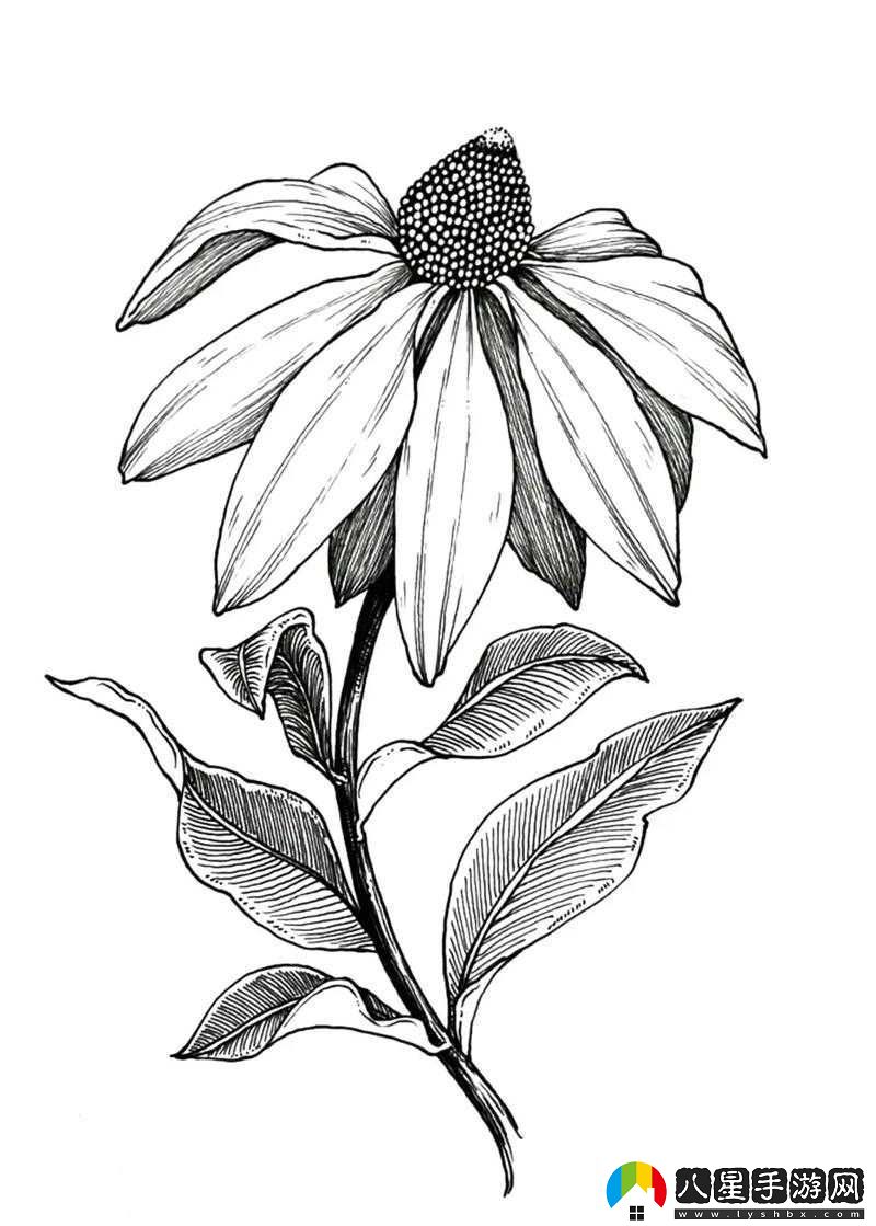 一支筆置于菊花旁的獨(dú)特景象呈現(xiàn)